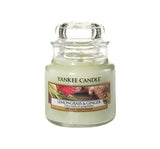 Scented candle small jar Lemongrass & Ginger 104g