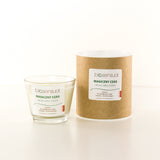 Magiczny Czas aromatherapy candle Vanilla & Apple & Carnation 100ml