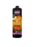 Babassu Oil Professional Shampoo Energizing energizing shampoo for colored hair 1000ml