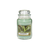 Scented candle, large jar of Aloe Water 623g