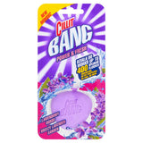 Power & Fresh cube for the toilet Lavender Garden 40g