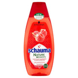 Nature Moments Succulent Raspberry and Sunflower Oil Shampoo shampoo for colored hair 400ml
