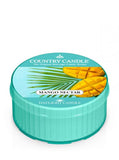 Daylight scented candle Mango Nectar 42g