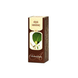 Aromatherapy Sandalwood Oil 10ml