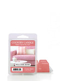 Wax fragrance wax "potpourri" Welcome Home 64g