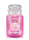 Large scented candle with two wicks Sweet Stuff 680g