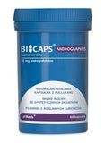 Bicaps Andrographis andrografolidy 30mg dietary supplement 60 capsules