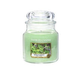 Scented jar candle medium Wild Mint 411g