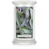 Large scented candle with two Eucalyptus Mint wicks 623g