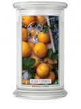 Large, scented candle with two wicks Iced Citrus 623g