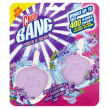 Power & Fresh cube for the toilet Lavender Garden 2x40g