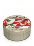 Daylight scented candle Sugar Cookies 35g