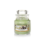 Scented candle, small jar, Olive & Thyme 104g