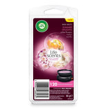 Wax Melts fragrance wax Fruit Sweetness 66g