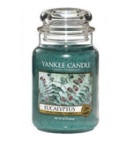 Scented candle large Eucalyptus jar 623g