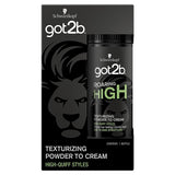 Roaring High Texturizing Powder To Cream hair texturizing powder 15g