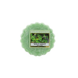 Fragrance Wax Wild Mint 22g