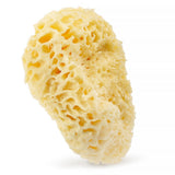 Natural sea sponge 01H 17.5cm Yellow
