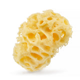 Natural Sea Sponge 04H 9.5cm Yellow