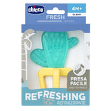 Water teether Cactus 4m +