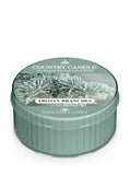 Daylight fragrant candle Frosty Branches 35g
